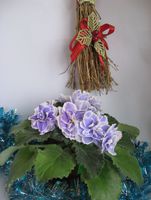 До конца января фиалочки по 30р! До конца января фиалочки по 30р!