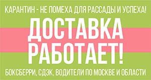 Мы работаем дистанционно!